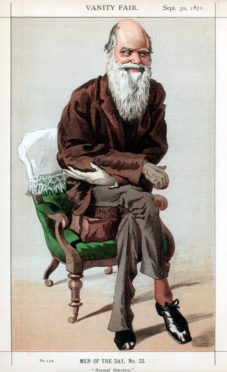 Dobór naturalny, 1871. autorstwa James Jacques Joseph Tissot