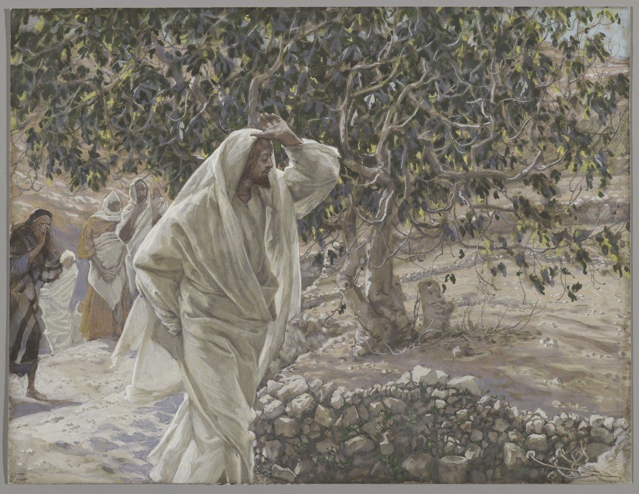 Przeklęte drzewo figowe, ilustracja z Życia naszego Pana Jezusa Chrystusa, 1886-94 (wc nad grafitem na papierze) autorstwa James Jacques Joseph Tissot