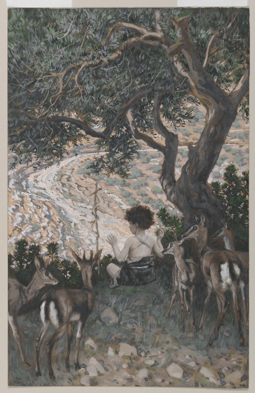 Dzieciństwo św. Jana Chrzciciela, ilustracja z Życia Pana naszego Jezusa Chrystusa (wc nad grafitem na papierze) autorstwa James Jacques Joseph Tissot
