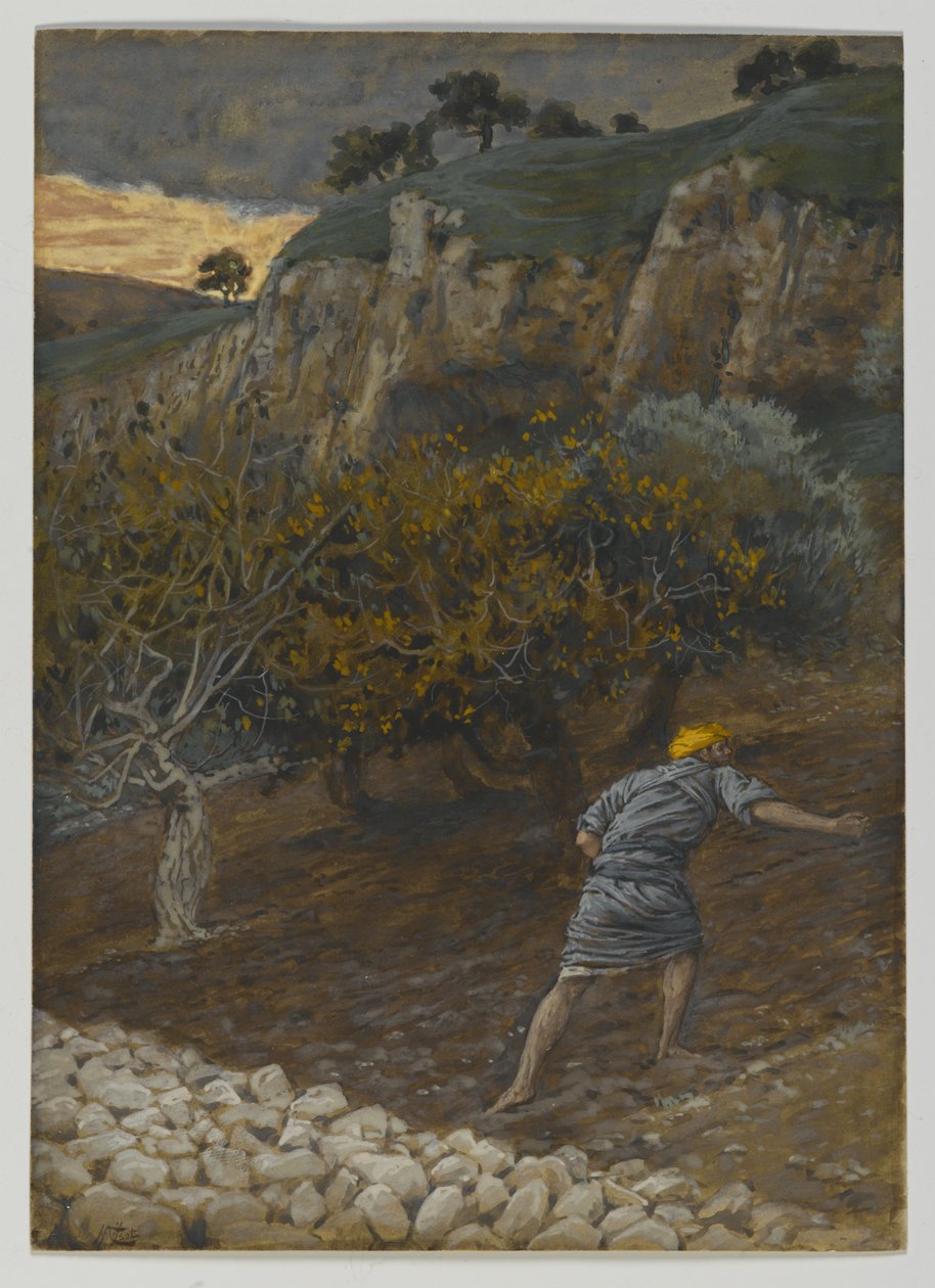 Wróg, który sieje, ilustracja z Życia naszego Pana Jezusa Chrystusa (wc nad grafitem na papierze) autorstwa James Jacques Joseph Tissot
