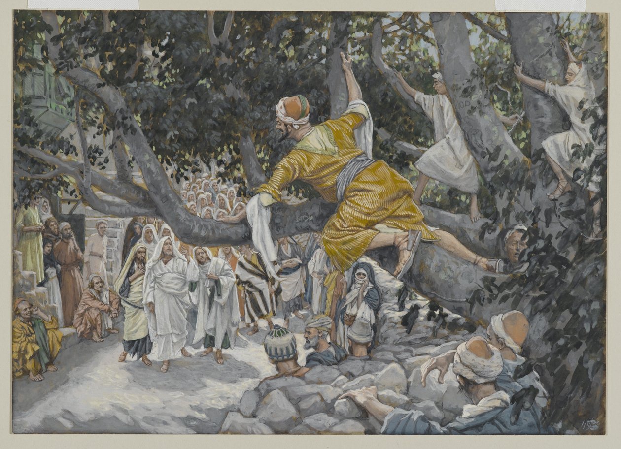 Zacheusz w sykomorze w oczekiwaniu na przejście Jezusa, ilustracja z Życia Pana naszego Jezusa Chrystusa, 1886-96 (wc nad grafitem na papierze) autorstwa James Jacques Joseph Tissot