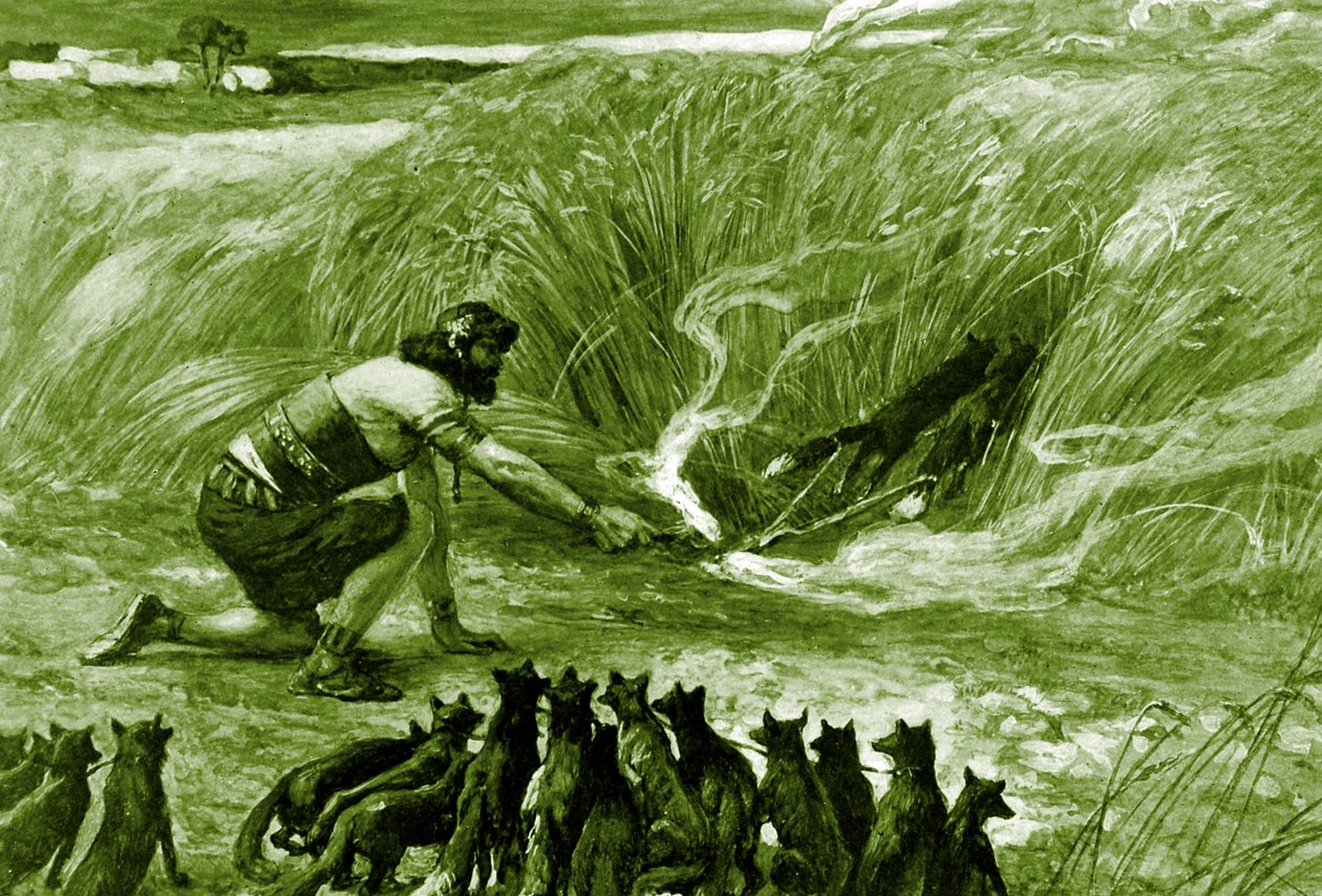 Samson i lisy J James Tissot - Biblia autorstwa James Jacques Joseph after Tissot