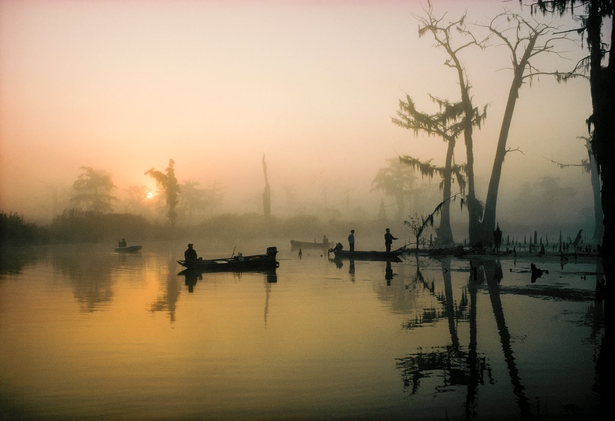 Październikowe słońce spala poranną mgłę nad zatoką Alligator Bayou w delcie Luizjany,... autorstwa James L Stanfield