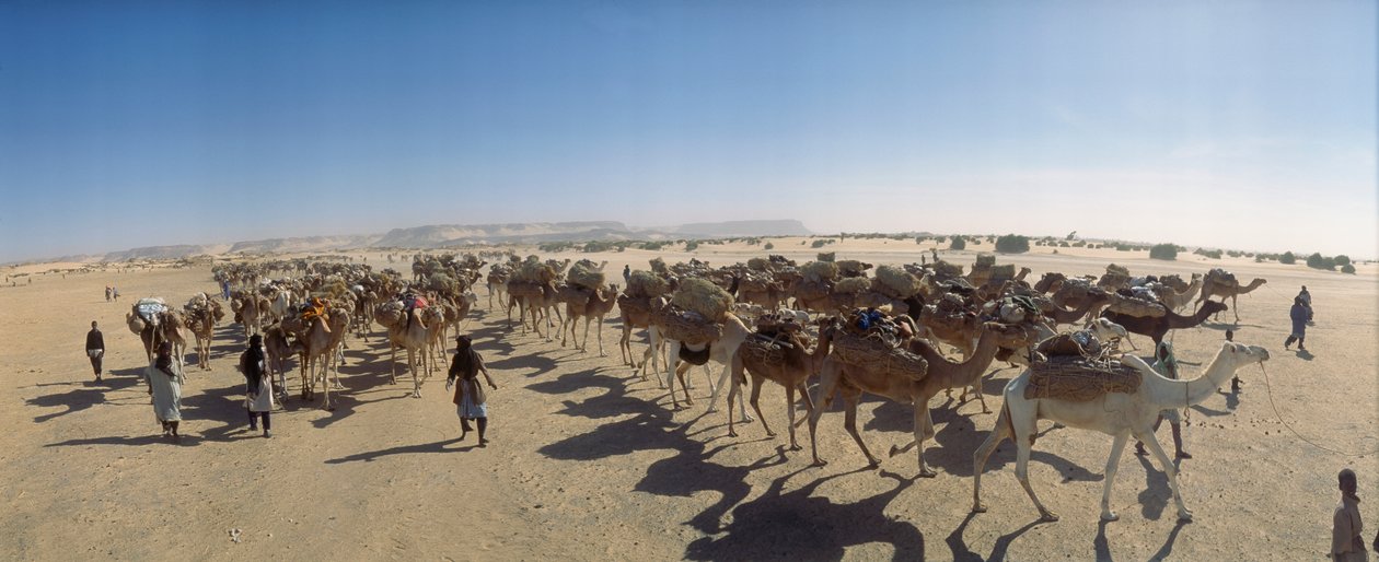 Panorama karawany wielbłądów solnych w pobliżu Fachi. W POBLIŻU FACHI, NIGER. autorstwa James L Stanfield