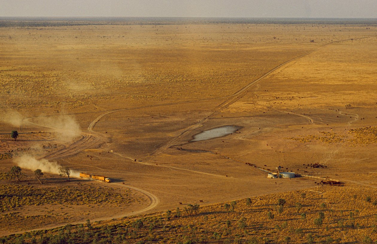 Pociąg drogowy przewożący bydło przecina odludny płaskowyż. Australia Zachodnia, Australia. autorstwa James L Stanfield