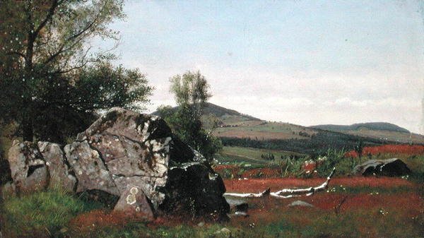 Lato w Catskills (olej na płótnie) autorstwa James McDougal Hart