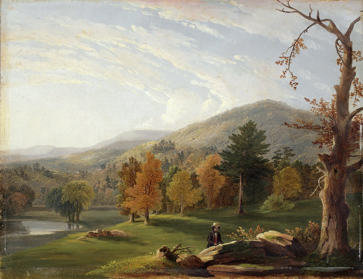 Widok wśród Helderbergów, Catskills w oddali, 1850 autorstwa James McDougal Hart