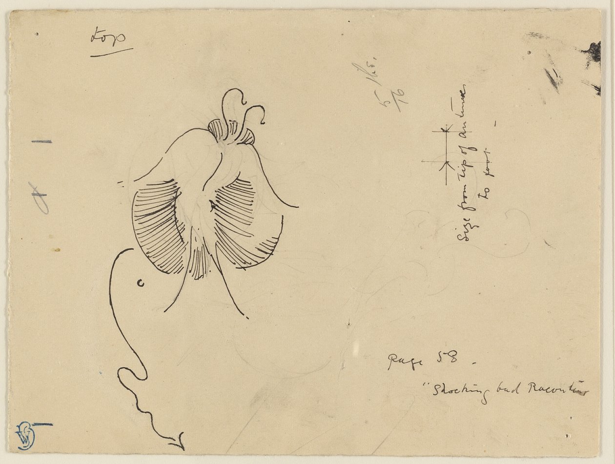 Motyl (recto); Fragment motyla (verso) autorstwa James McNeill Whistler