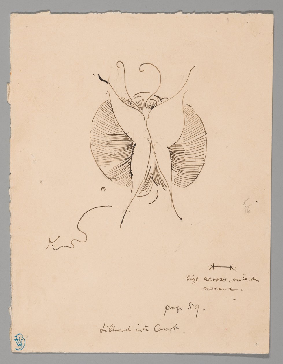 Motyl (recto); Fragment motyla (verso) autorstwa James McNeill Whistler