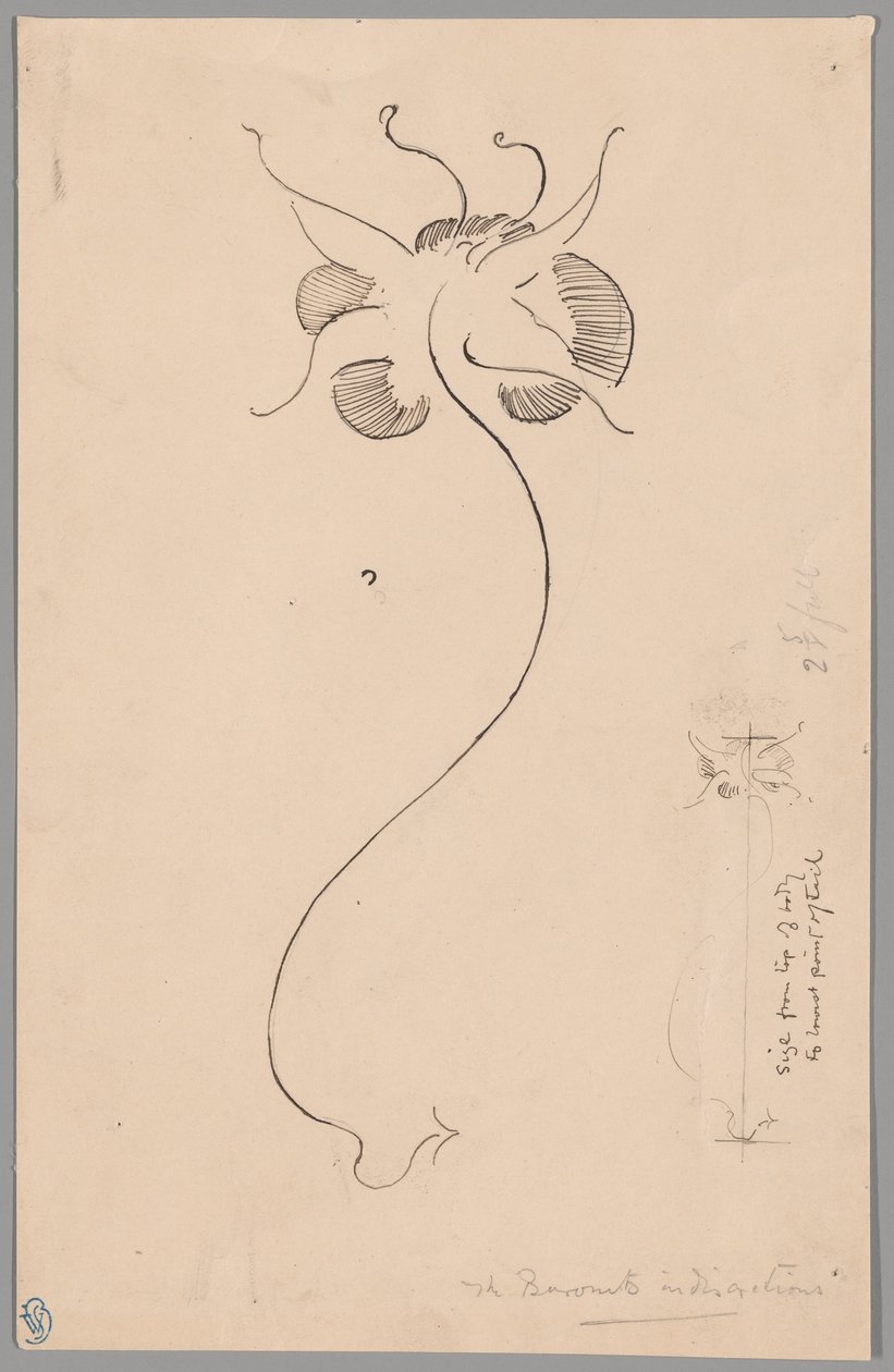 Motyl (recto); Studium motyla (verso) autorstwa James McNeill Whistler