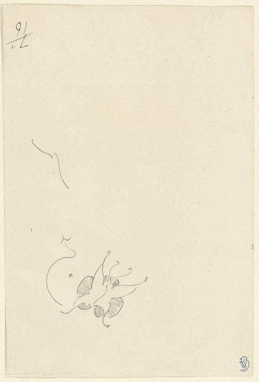 Motyl autorstwa James Abbott McNeill Whistler