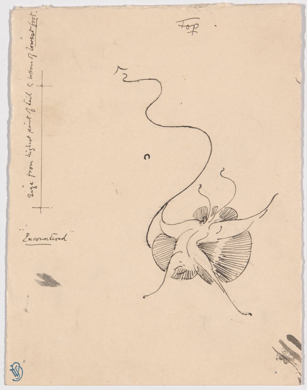 Motyl "Napotkany" (recto); Szkic końcówki (verso) autorstwa James McNeill Whistler