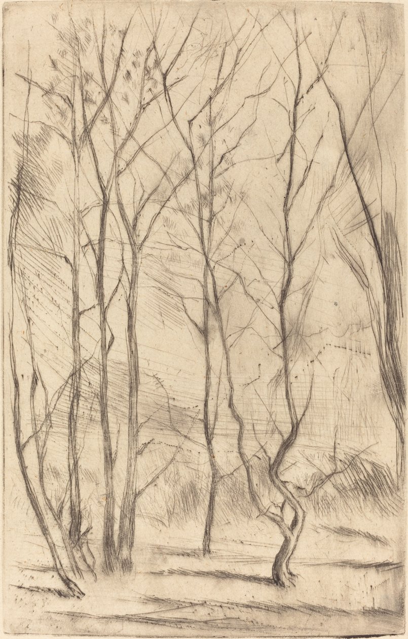 Las Tamy autorstwa James Abbott McNeill Whistler