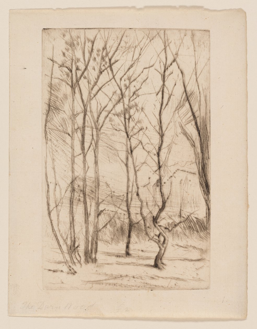 Las Tamy autorstwa James Abbott McNeill Whistler