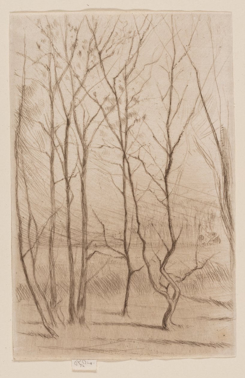 Las Tamy autorstwa James Abbott McNeill Whistler