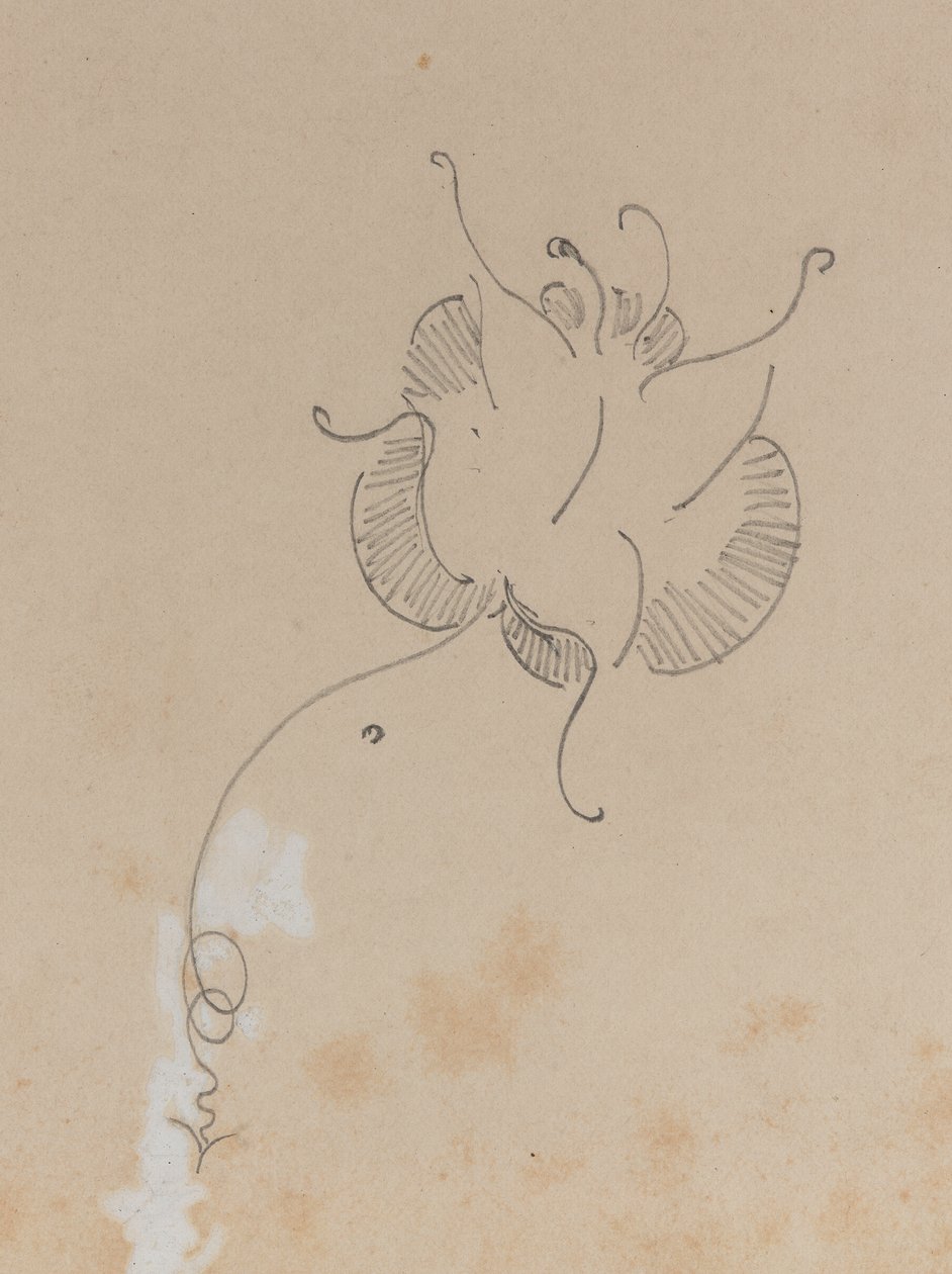 Motyl Whistlera autorstwa James Abbott McNeill Whistler