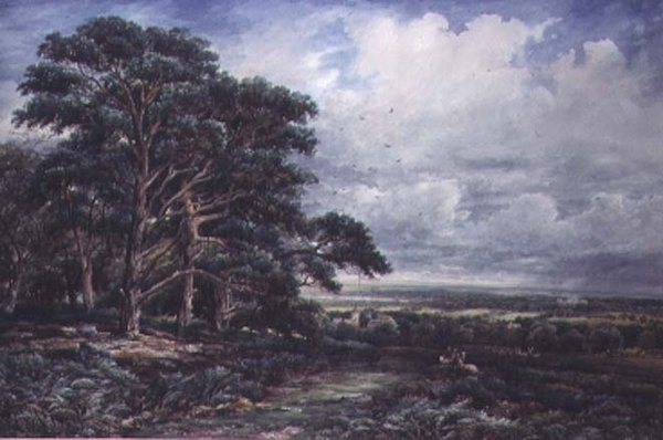 Bradgate Park w pobliżu Leicester, akwarela autorstwa James Orrock