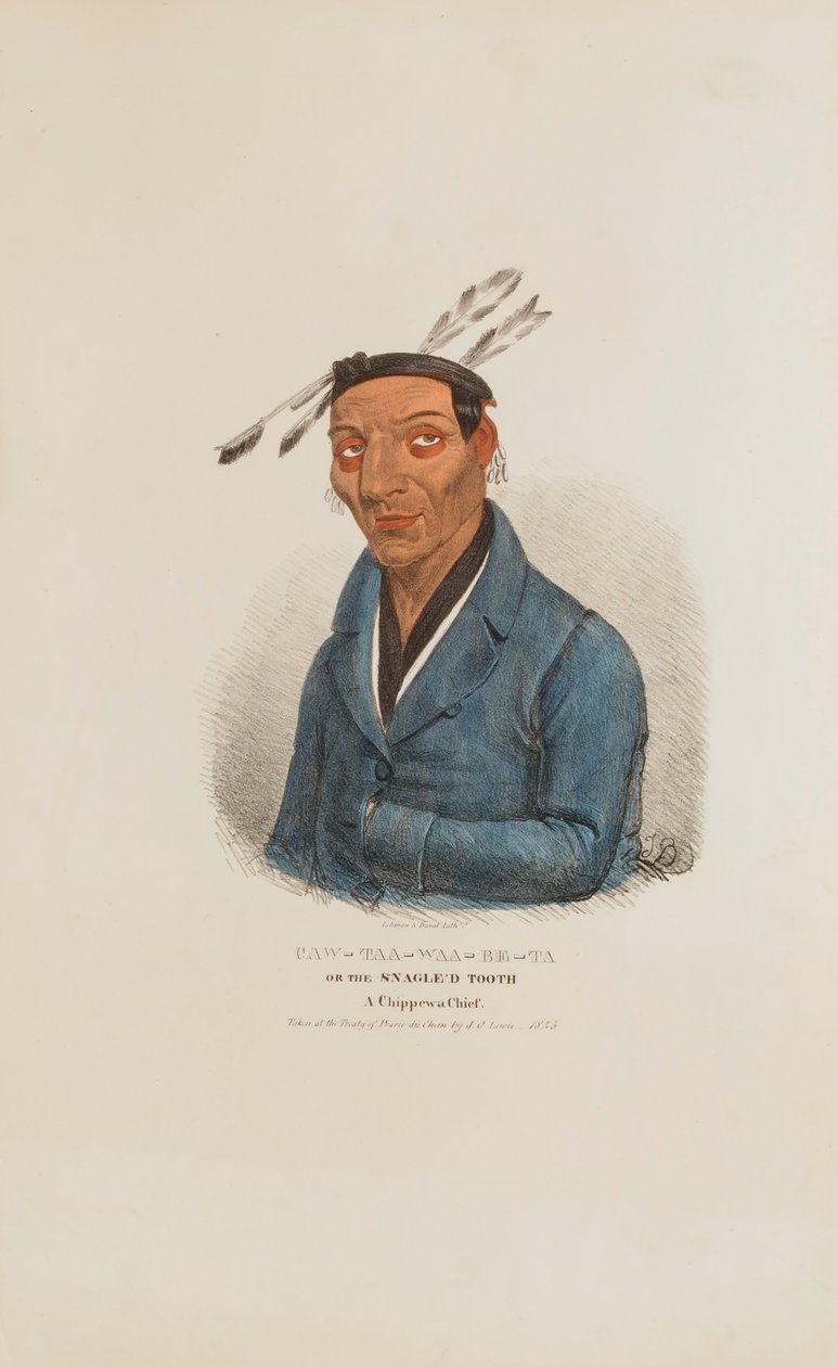 CAW-TAA-WAA-BE-TA lub Ząb Kłapouchego; Wódz Chippewa, z Portfolio Aborygenów autorstwa James Otto Lewis