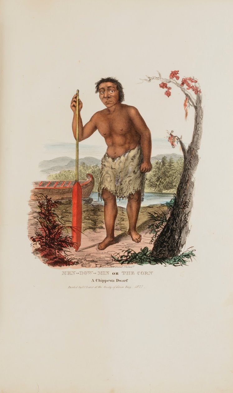 MEN-DOW-MIN lub Kukurydza; karzeł Chippewa, z aborygeńskiego portfolio autorstwa James Otto Lewis