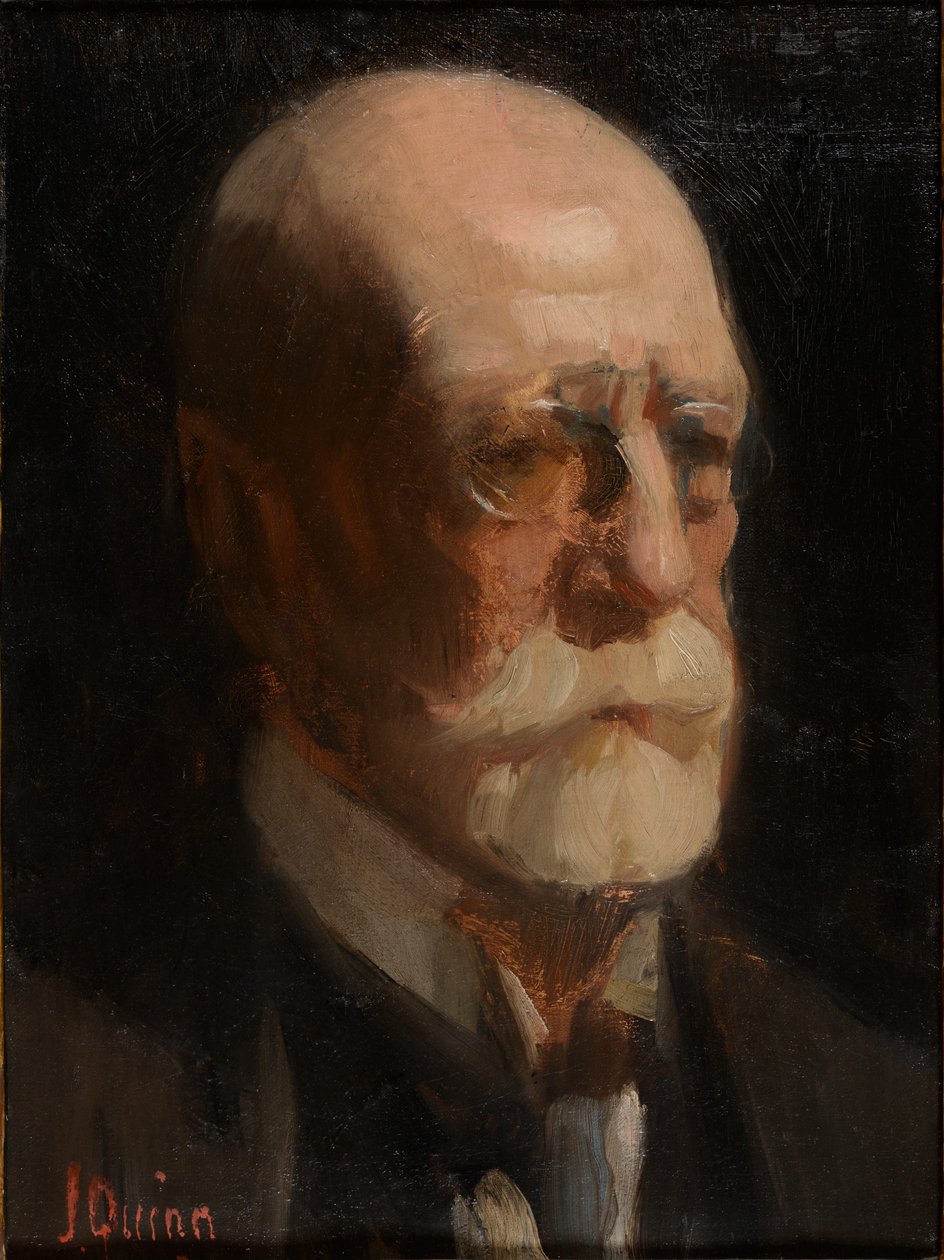 Portret mężczyzny z brodą (olej na płótnie) autorstwa James Peter Quinn
