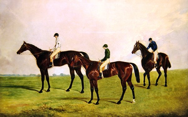 Konie wyścigowe Jockeys Up (olej na płótnie) autorstwa James Pollard