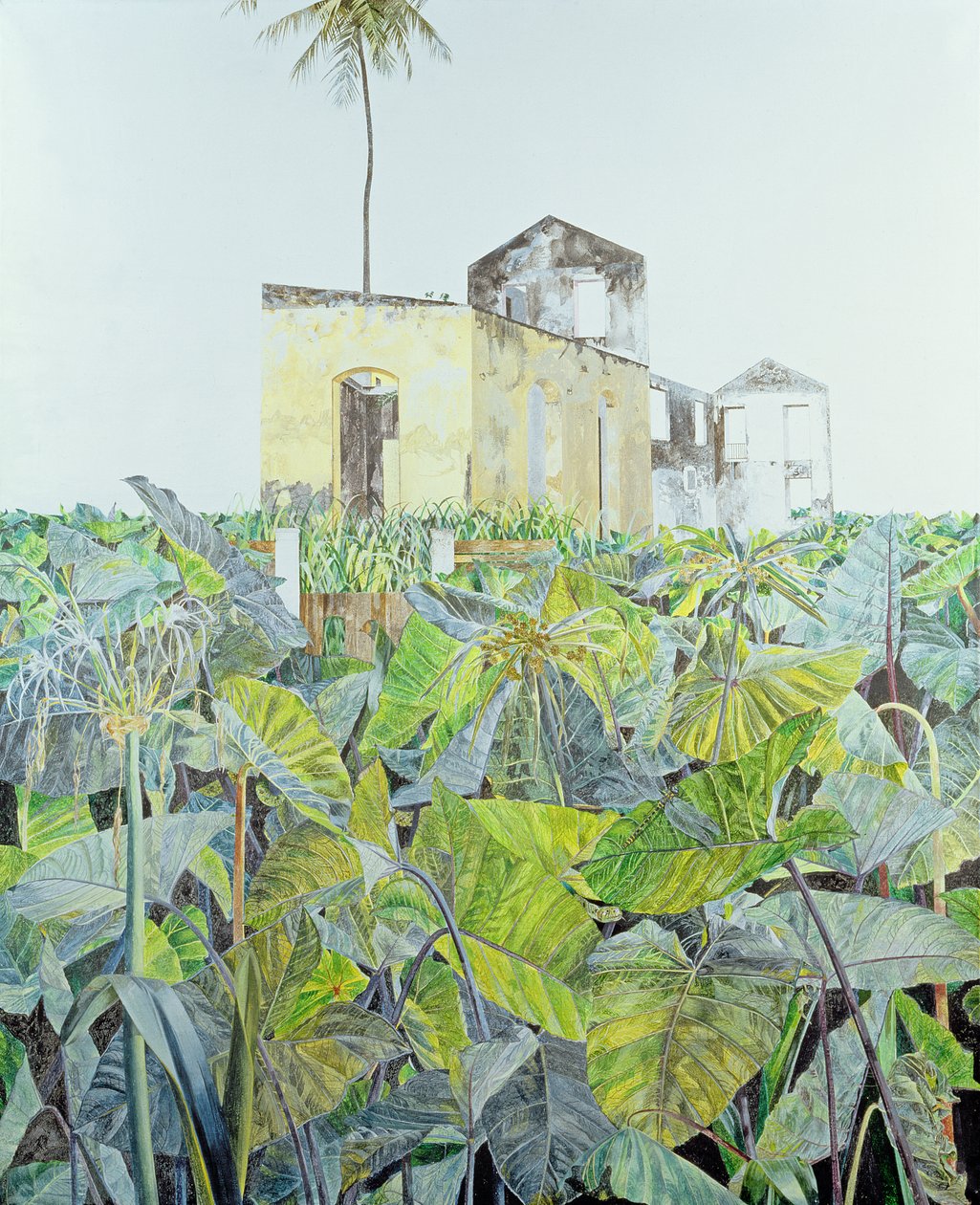 Ruiny na bagnach, Haiti, 1971 autorstwa James Reeve