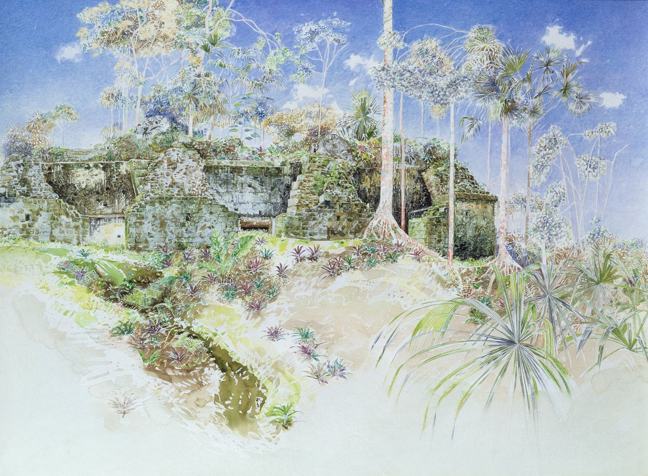 Zrujnowana świątynia, Tikal, Gwatemala, 1984 (wc na papierze) autorstwa James Reeve