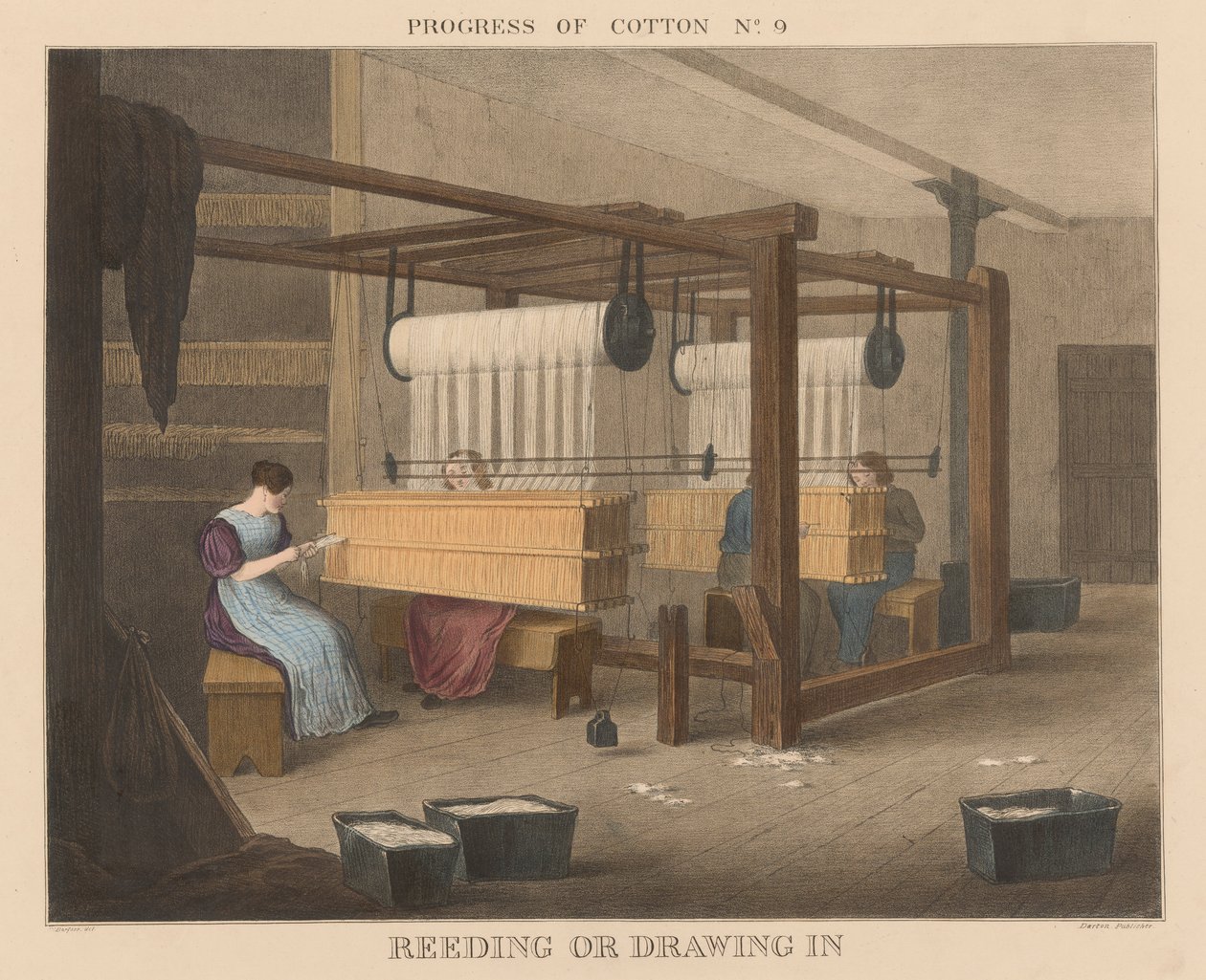 Progress of Cotton: #9 - Reeding lub wciąganie autorstwa James Richard Barfoot