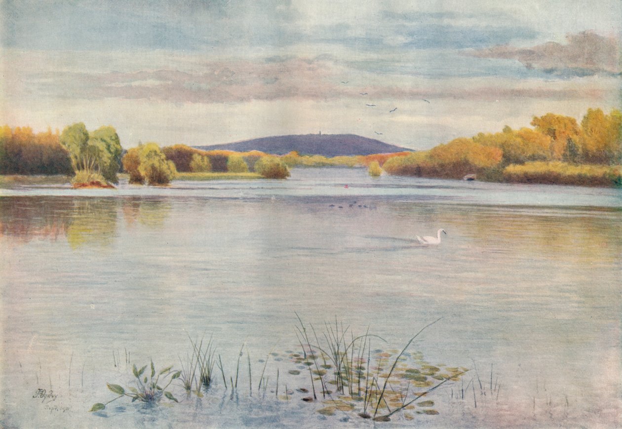 „Staw Vachery”, 1911, 1914 autorstwa James S Ogilvy