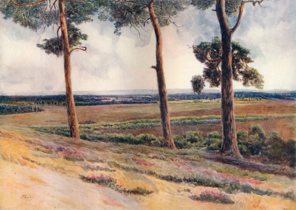 „Widok ze Staple Hill”, 1911, 1914 autorstwa James S Ogilvy