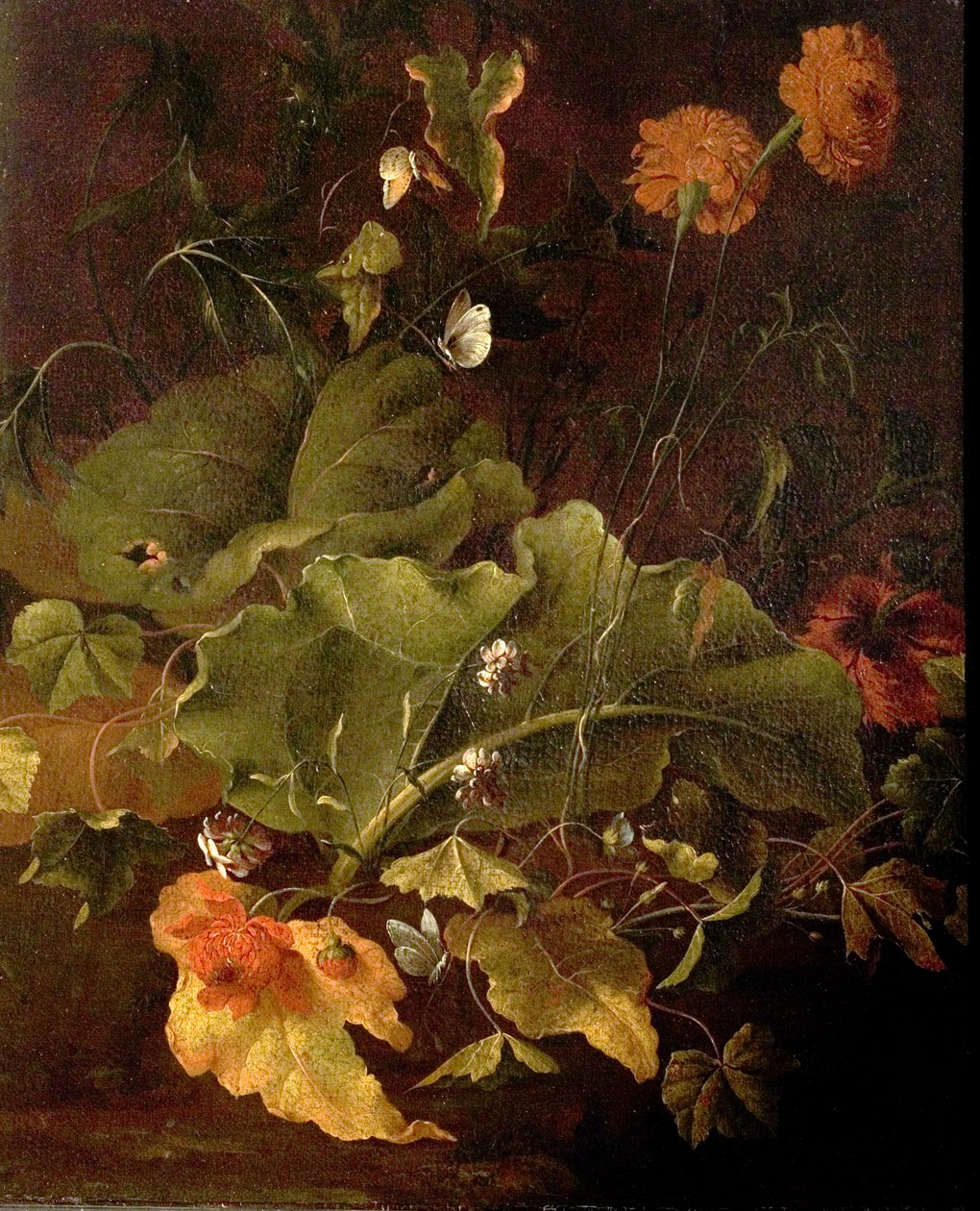 Liście doków i inne kwiaty, ok. 1820 autorstwa James Sillett