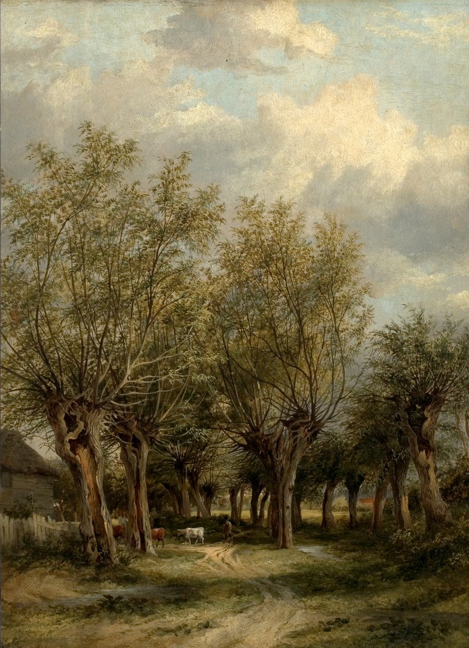 Lane w pobliżu Norwich, Norfolk, c.1830 autorstwa James Stark
