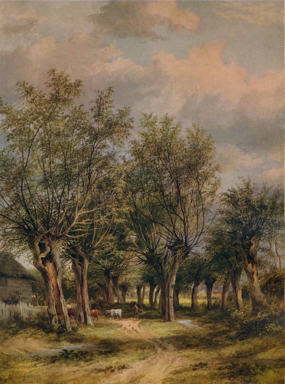 Zaułek w pobliżu Norwich, c1837 autorstwa James Stark