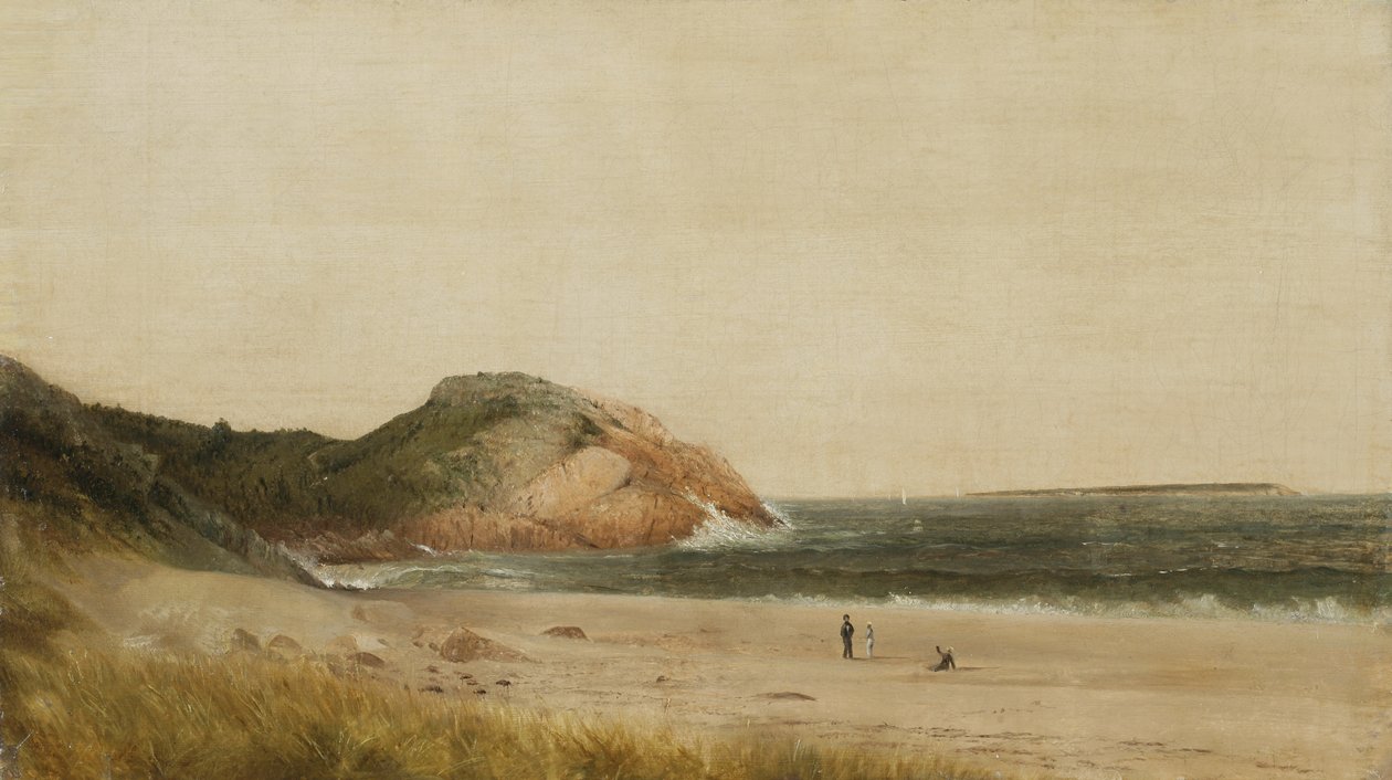 Scena na plaży (olej na płótnie) autorstwa James Suydam
