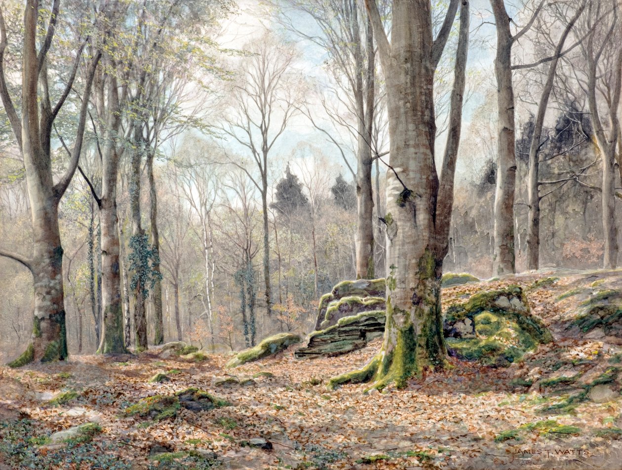 Walijski las (akwarela) autorstwa James Thomas Watts