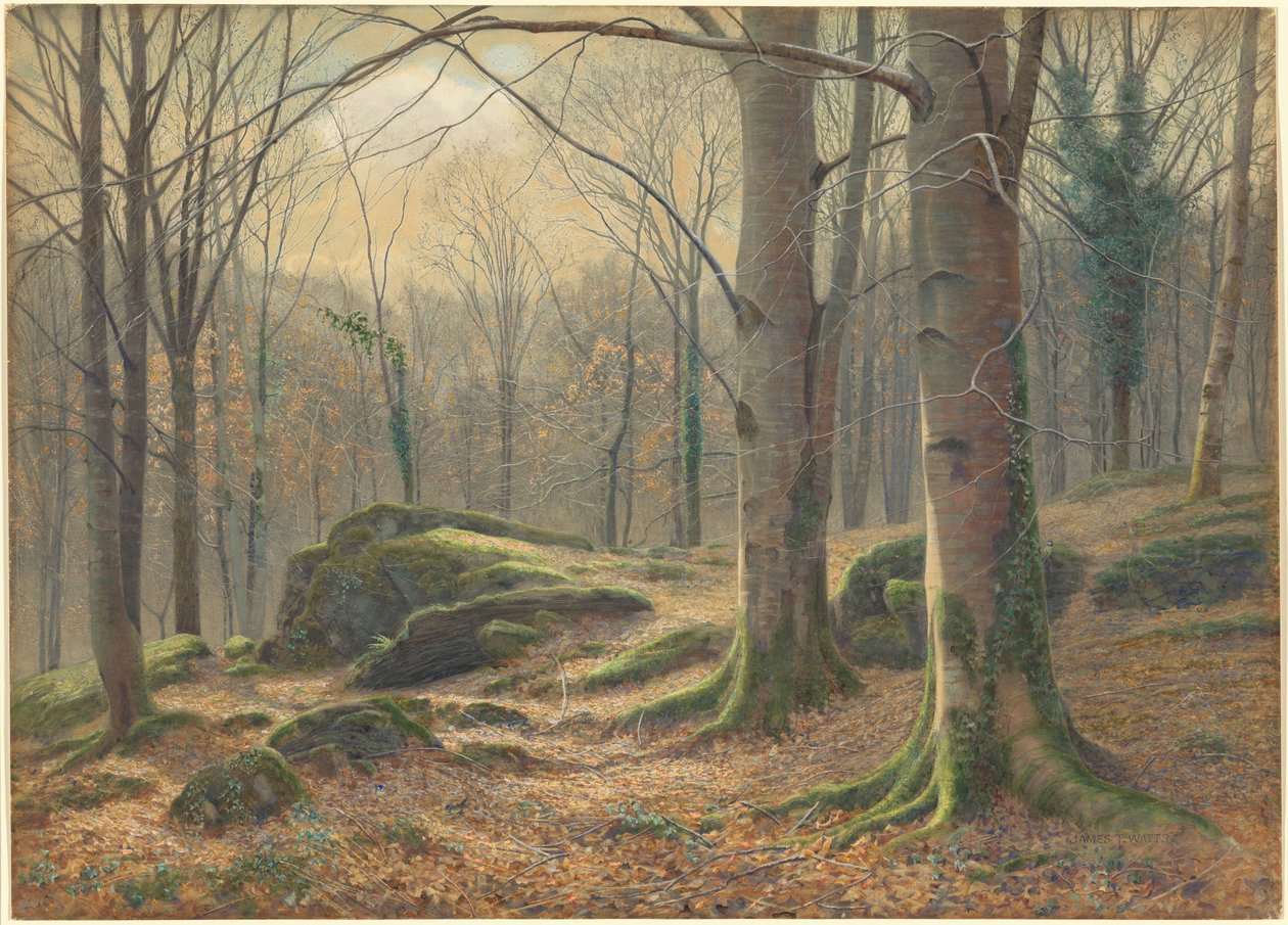 Zimowy poranek, topnienie szronu autorstwa James Thomas Watts