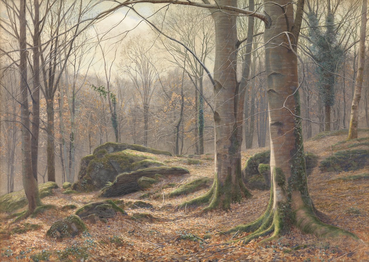 Zimowy poranek, topnienie szronu, 1885-1894 autorstwa James Thomas Watts