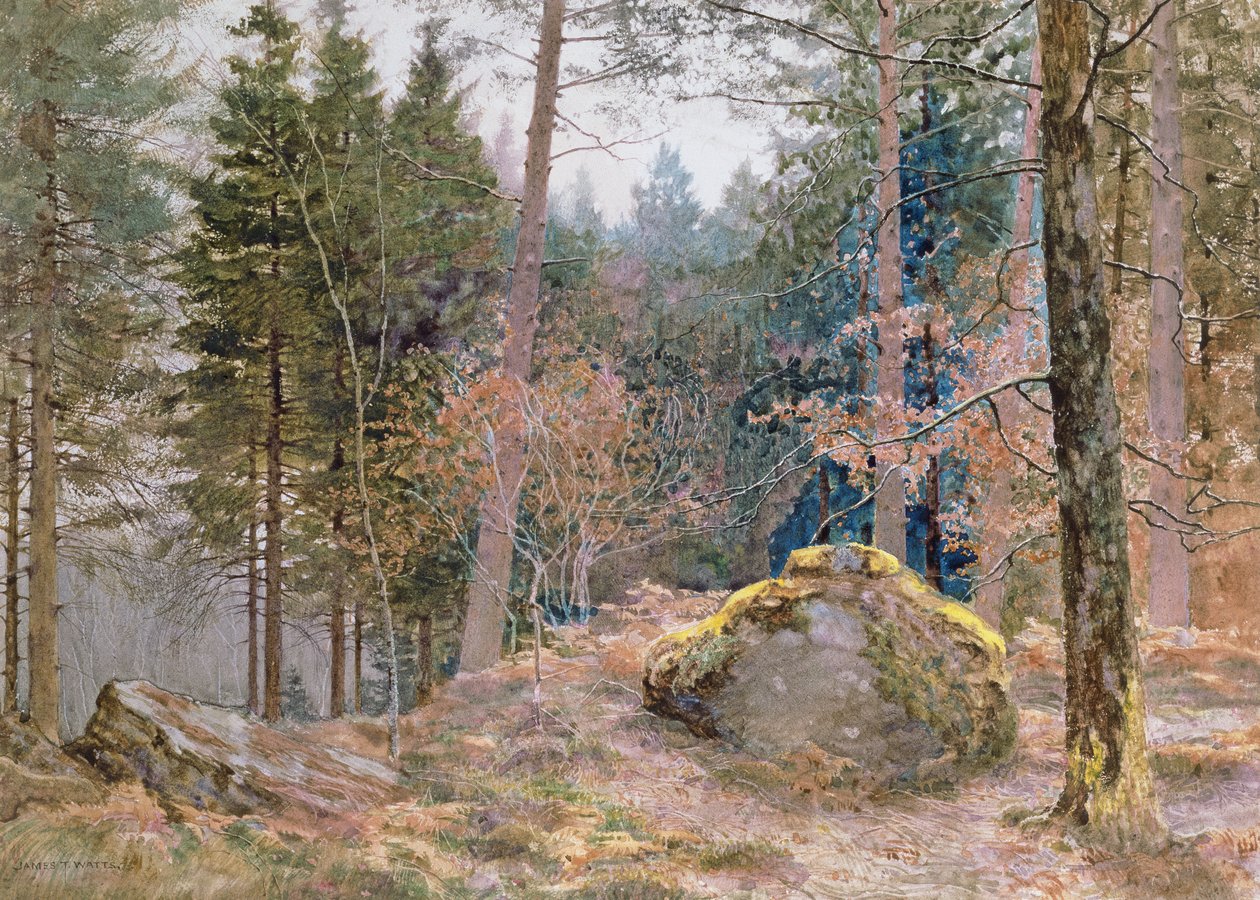 W walijskim lesie, zima autorstwa James Thomas Watts