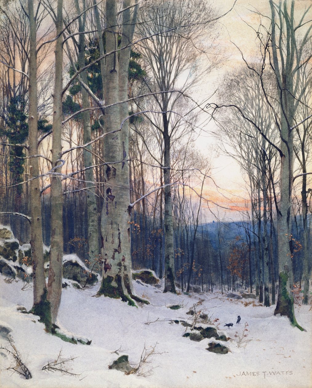 Zmierzch, Las bukowy (wc) autorstwa James Thomas Watts