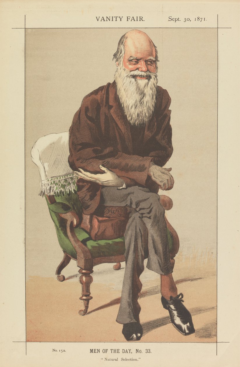 Vanity Fair Men of the Day, nr 33, Dobór naturalny autorstwa James Tissot