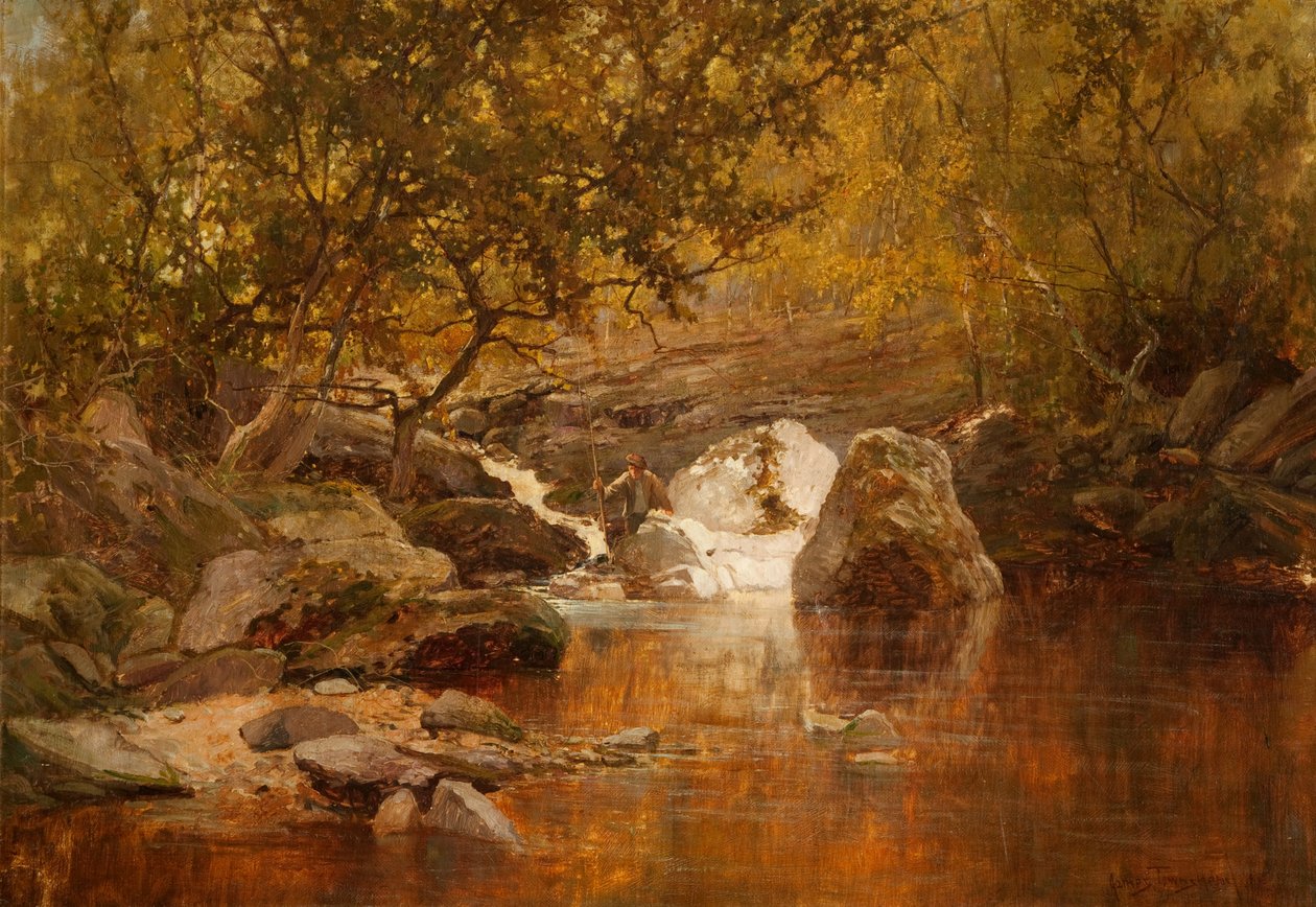 Łososiowa sadzawka (olej na płótnie) autorstwa James Townshend