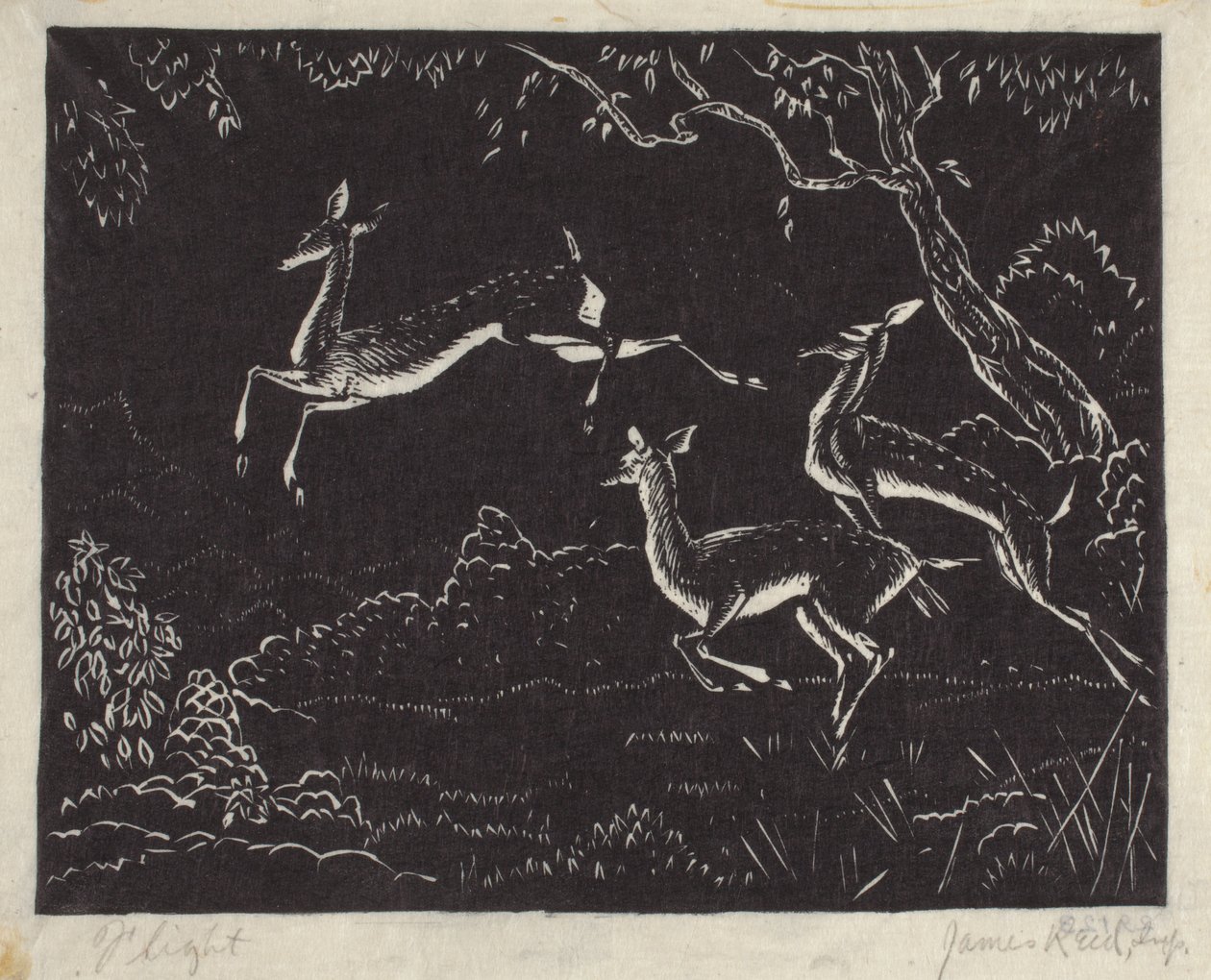 Lot (drzeworyt) autorstwa James W. Reid