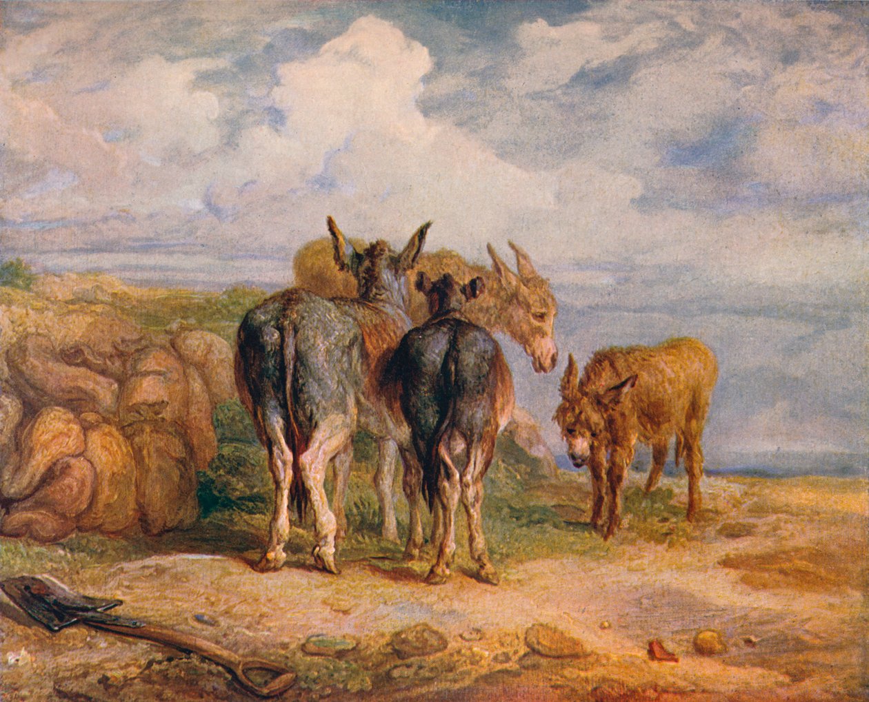 Osły, ok. 1831 1904 r. autorstwa James Ward