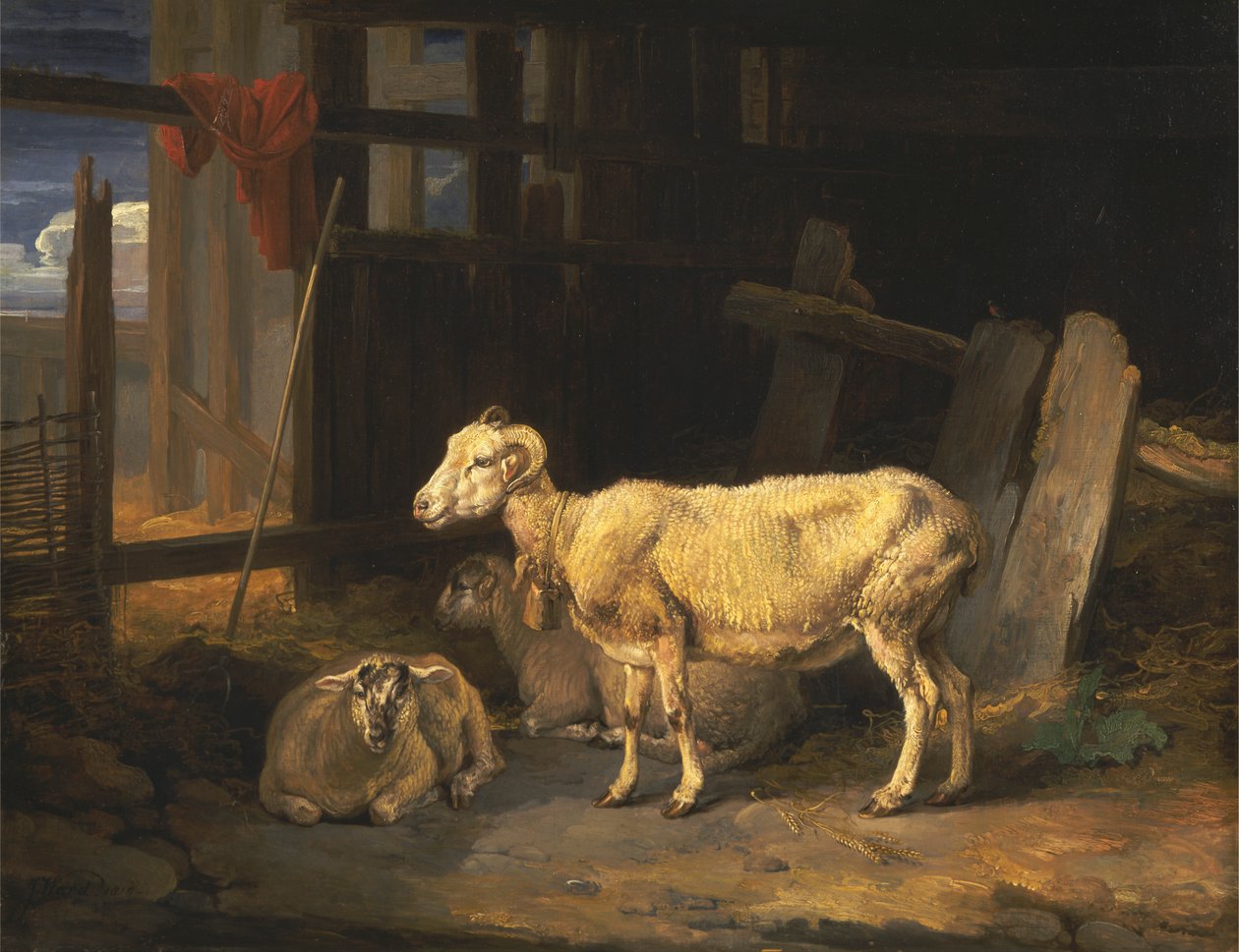 Heath Ewe i jagnięta autorstwa James Ward