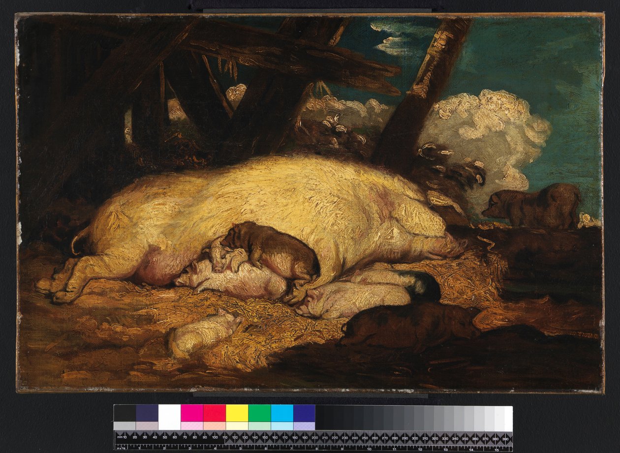 Świnie, nie wcześniej niż 1793 autorstwa James Ward