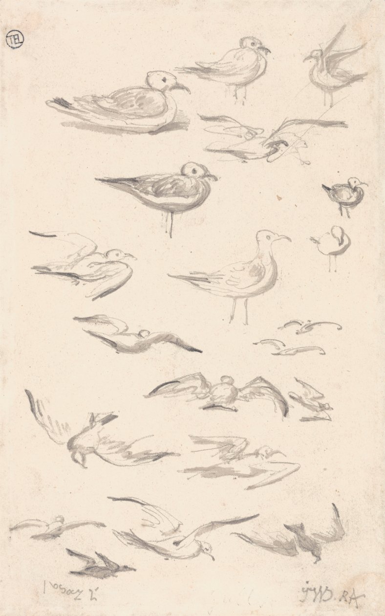 Estudos de Gullspolish autorstwa James Ward
