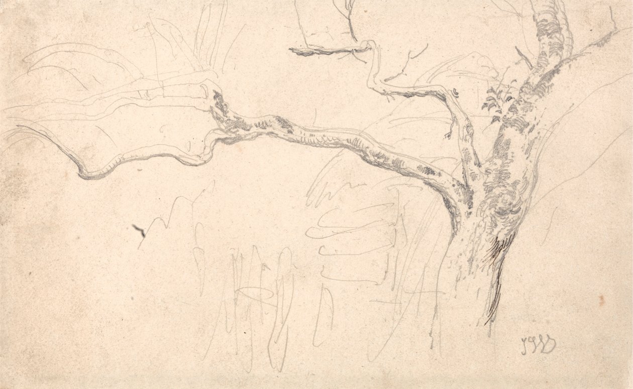 Studium drzewa autorstwa James Ward
