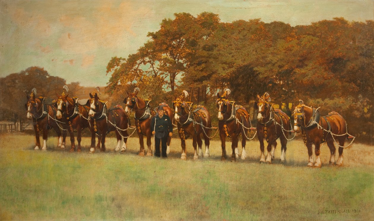 Konie Shire, 1896 autorstwa James Weaver Tattersall