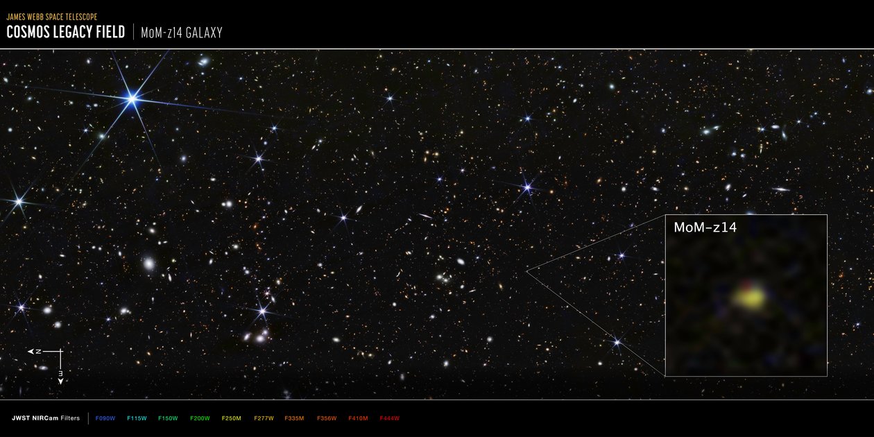 Galaktyka MoM-z14 z pola COSMOS (zdjęcie z kamery NIRCam) autorstwa James Webb Space Telescope (NASA)