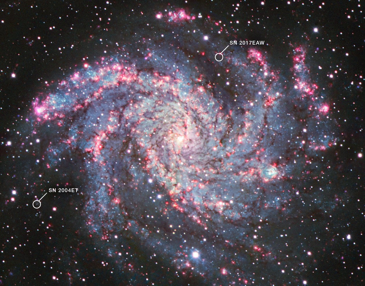 NGC 6946 (Krajowe Obserwatorium Kitt Peak) autorstwa James Webb Space Telescope (NASA)